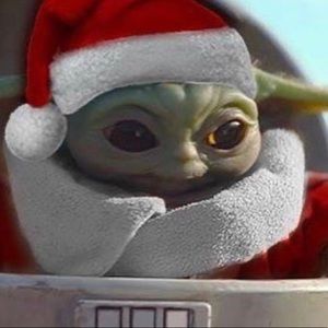 Meet your Posher, Steven